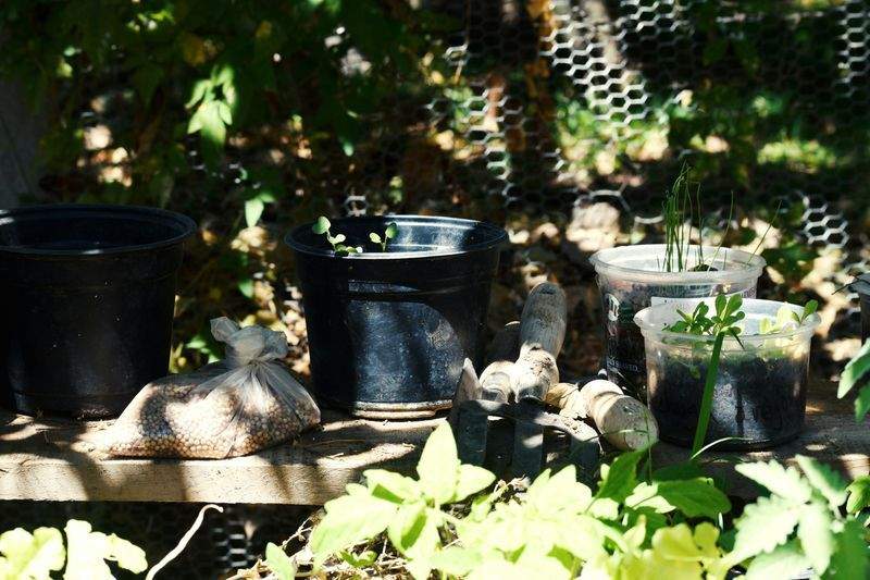 Préparer son jardin au printemps en toute sérénité