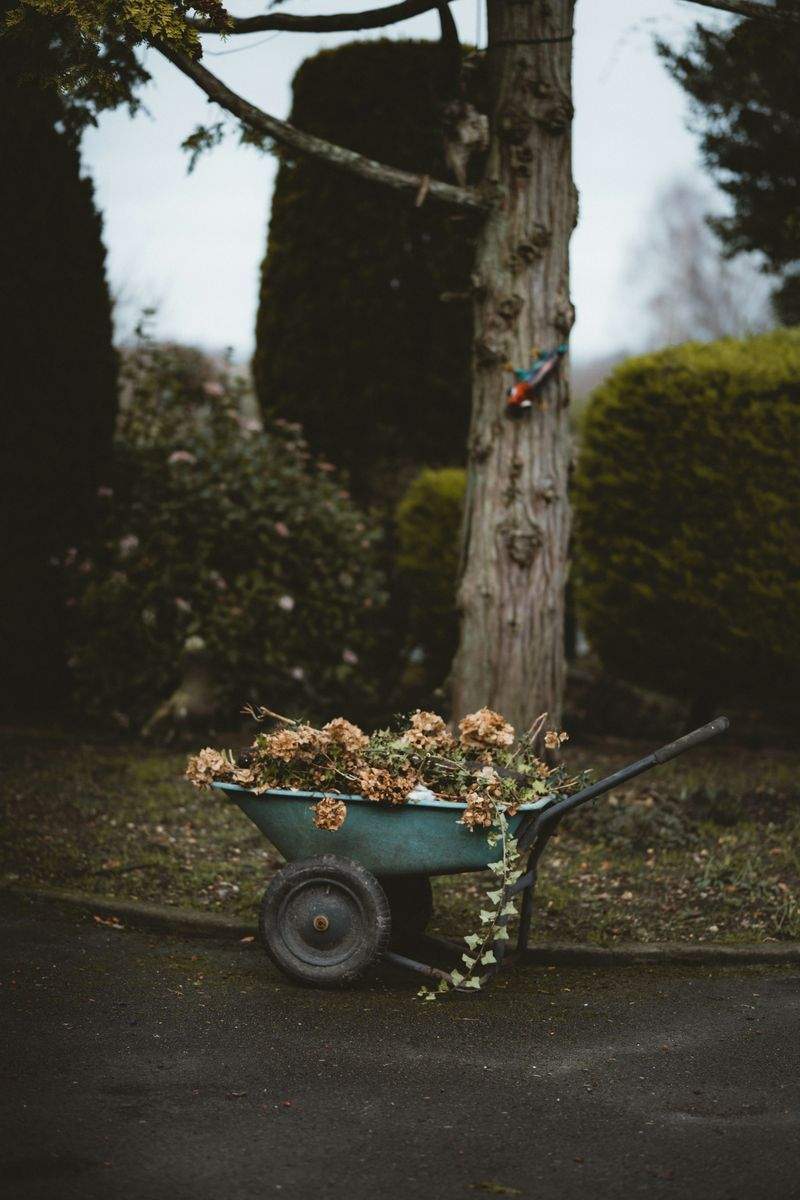 Jardins & Harmonie