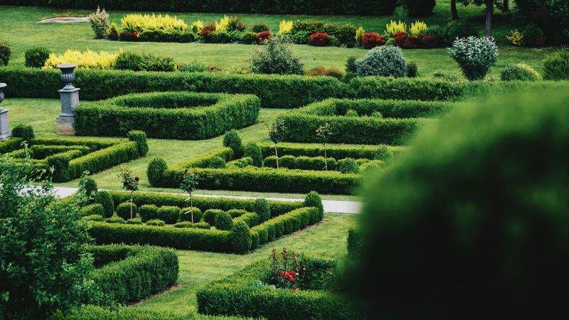 Jardins & Harmonie 10