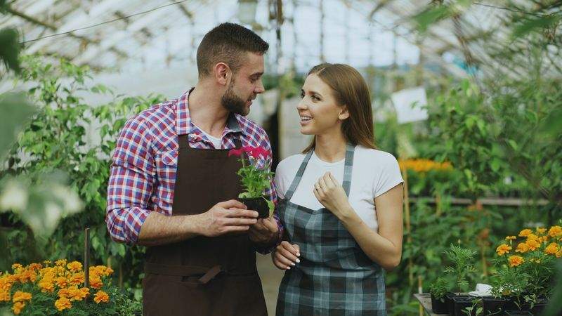 Jardins & Harmonie 15