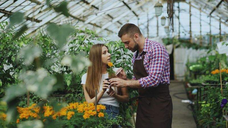Jardins & Harmonie 3