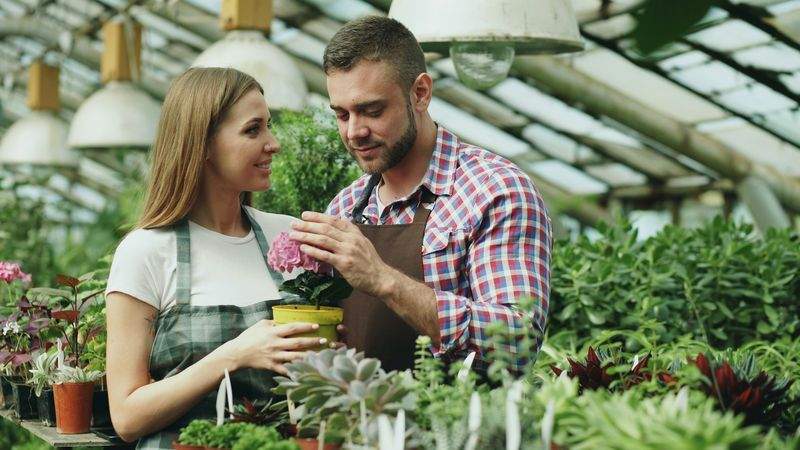 Jardins & Harmonie 6