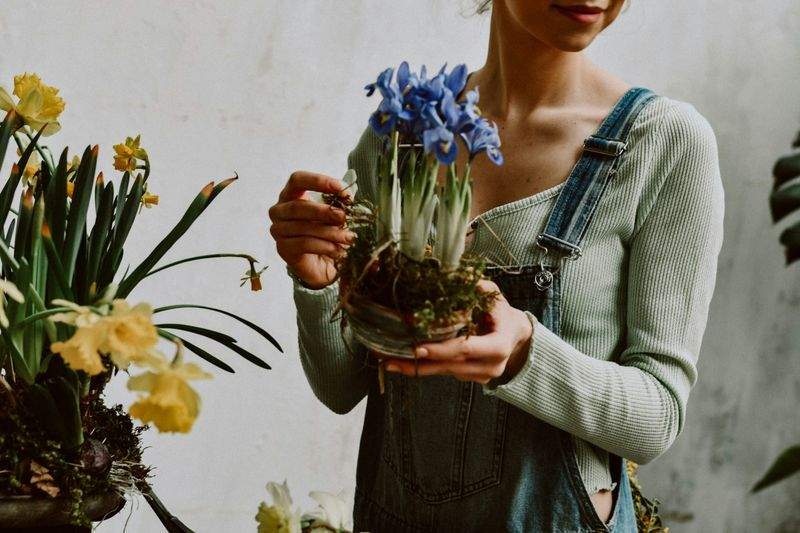 Jardins & Harmonie 7