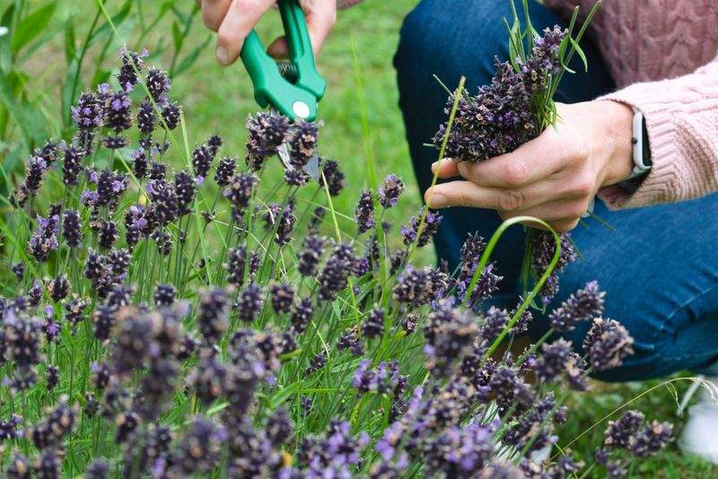 Création et aménagement de jardins paysagers